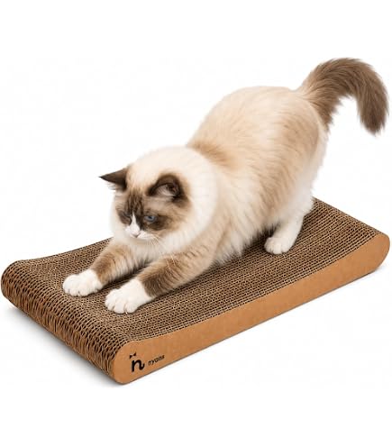 Amazon | ねこの爪とぎ 杉にゃん【猫寿命30歳を目指すフルオーガニック